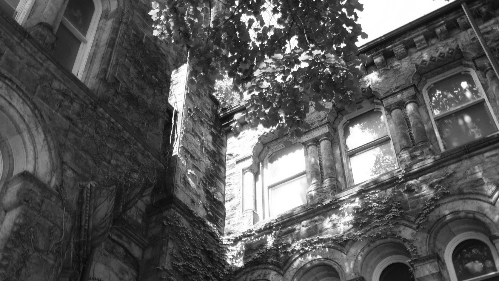 An ivy-covered Romanesque building at the University of Toronto, photographed in black and white