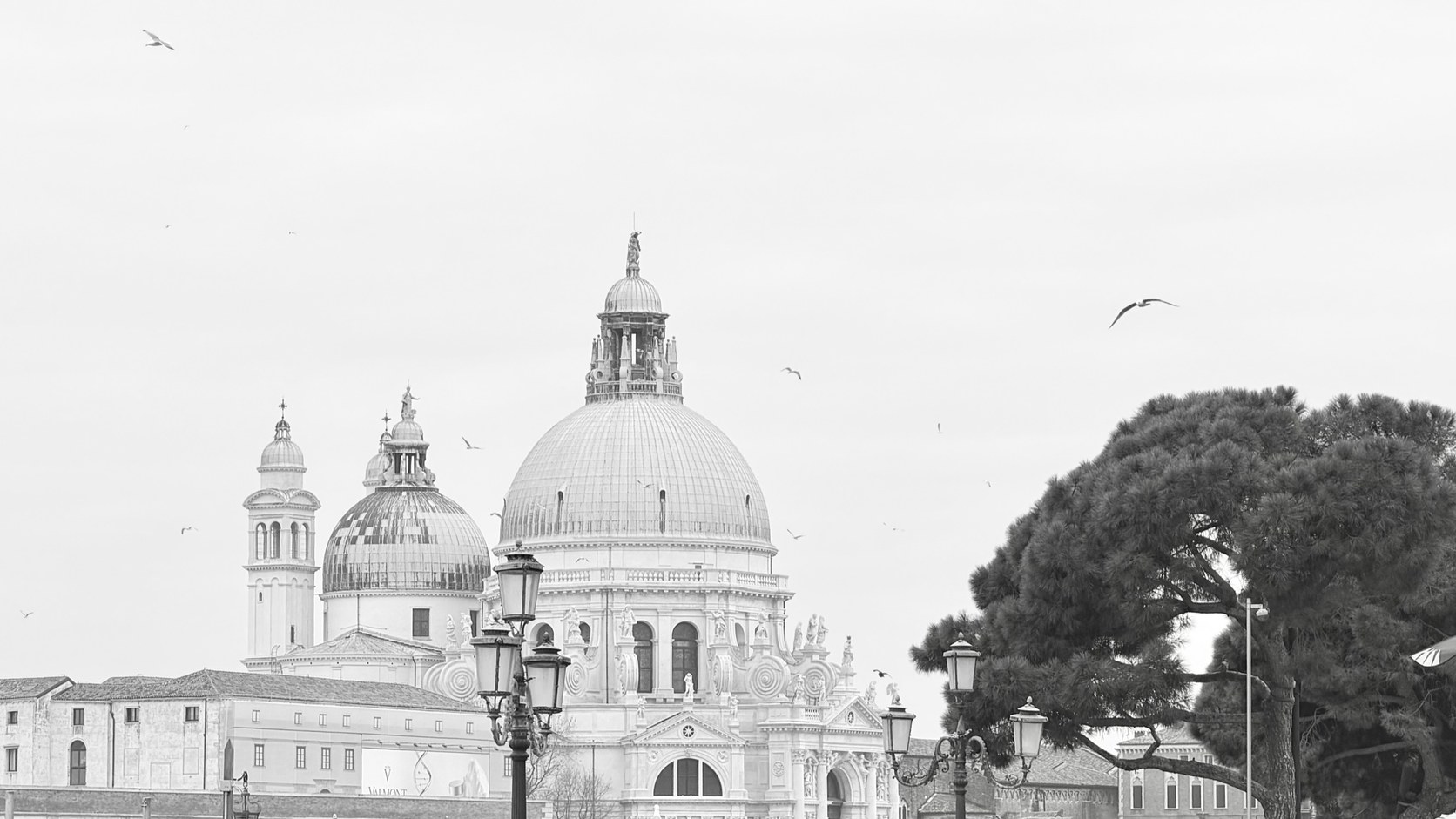The dome of Santa Maria della Salute in Venice, gulls over a bright sky and lamps along the waterfront