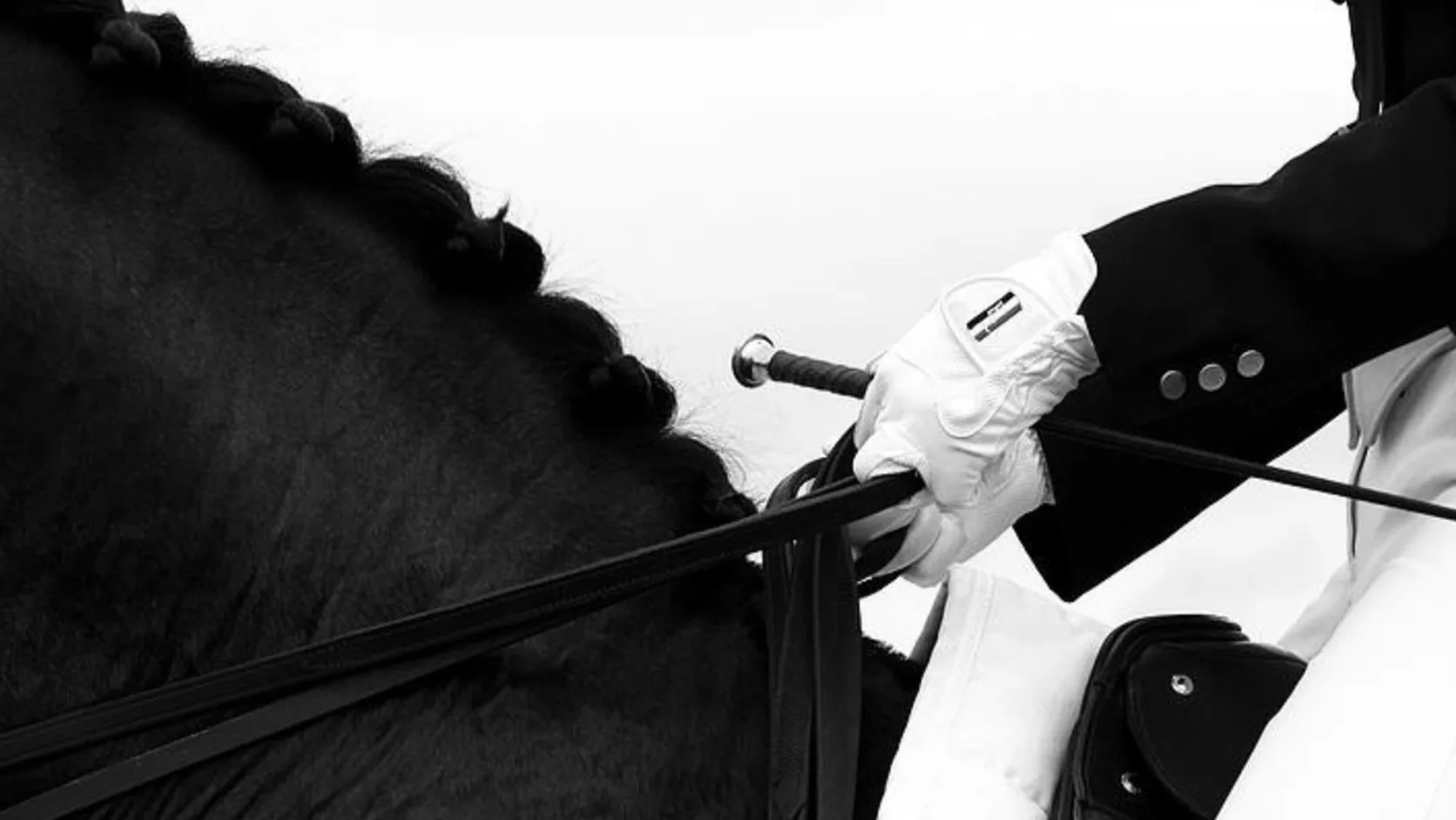 A dressage rider in formal attire holding the reins